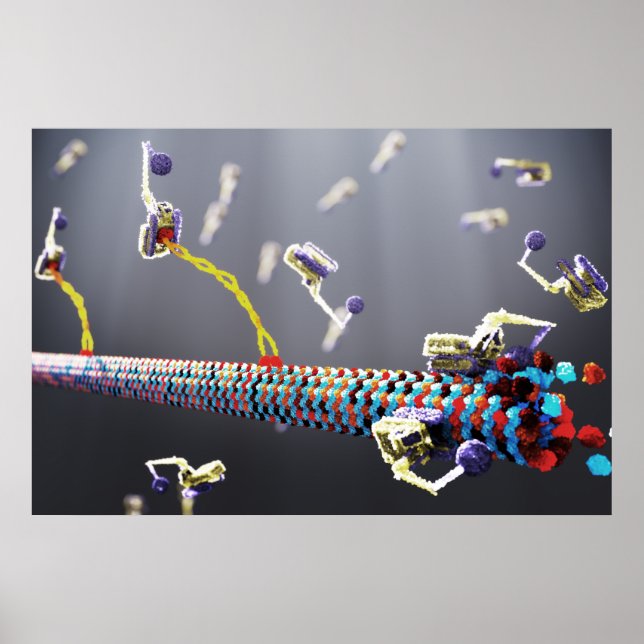 Molecular Machines Poster (Front)
