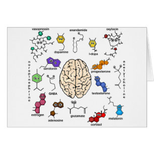 Molecules Galore!