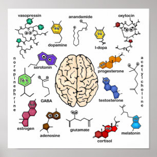 Molecules Galore! Poster