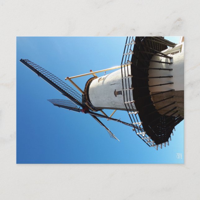 Molen in the Netherlands in Willemstad. Postcard (Front)