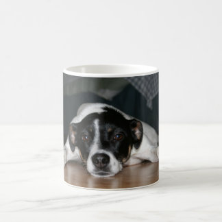 "Molli" Rat Terrier dog Mug
