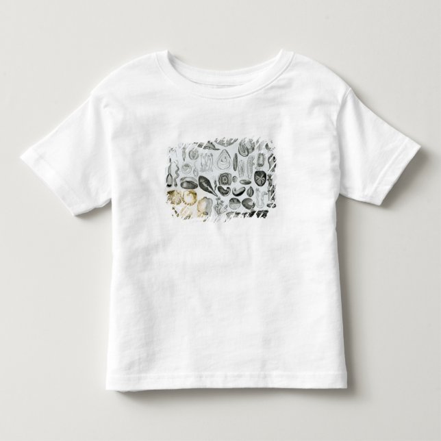 Molluscs Toddler T-Shirt (Front)