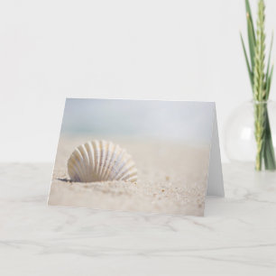 Mollusk Seashell Card