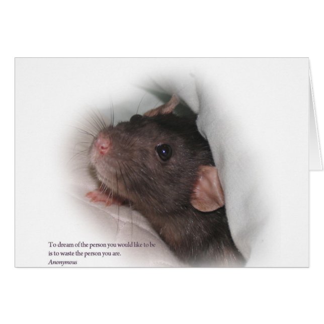 Molly1withsaying (Front Horizontal)