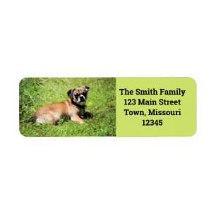 Molly Return Address Label