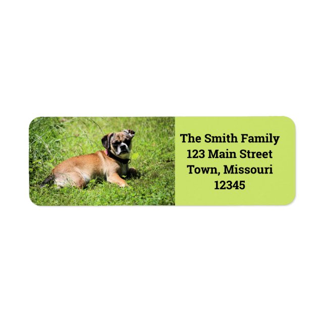 Molly Return Address Label (Front)
