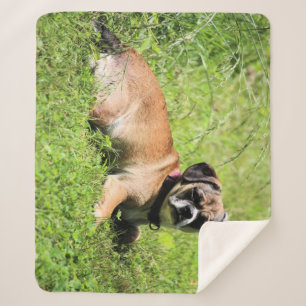 Molly  sherpa blanket