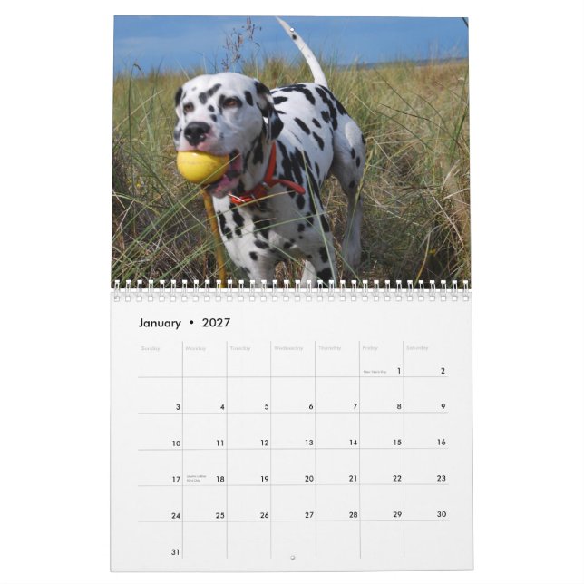 Molo Calendar (Jan 2027)