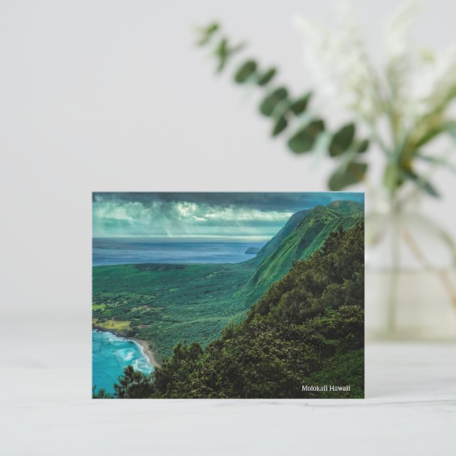 Molokaii Hawaii Beach Trees Holiday Postcard (Standing Front)