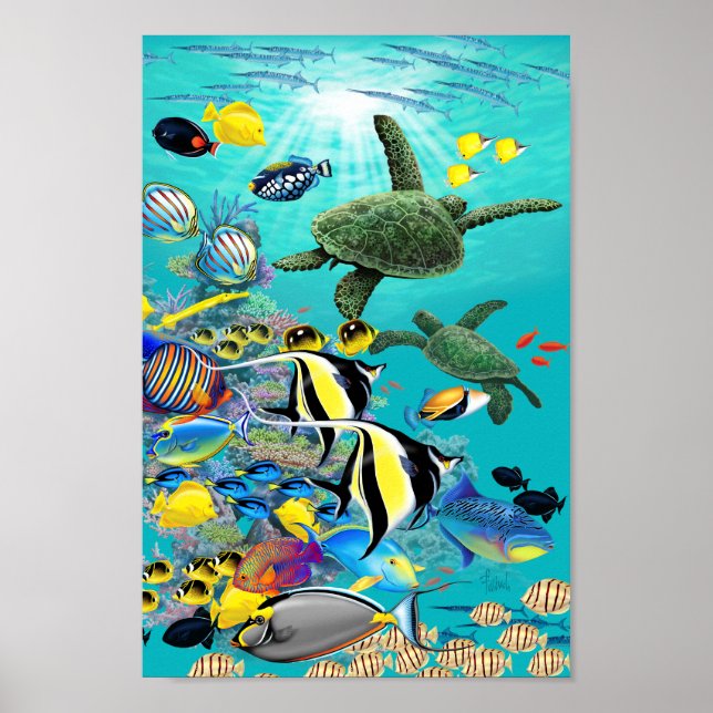 Molokini Cove Hawaiian Tropical Fish and Sea Turtl Poster (Front)
