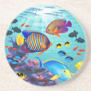 Molokini Cove Hawaiian Tropical Fish Coaster