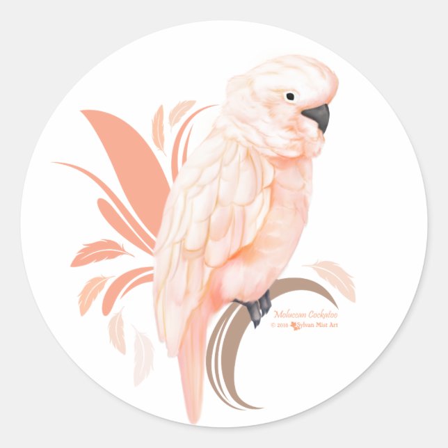 Moluccan Cockatoo Classic Round Sticker (Front)