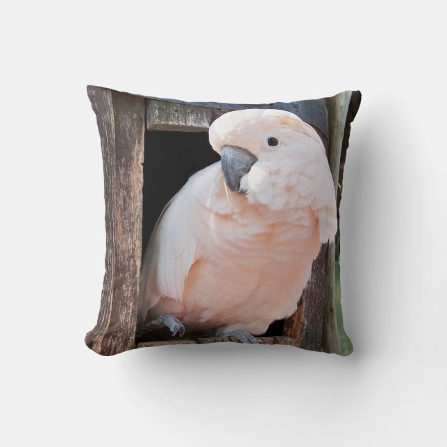 Moluccan Cockatoo Cushion (Front)