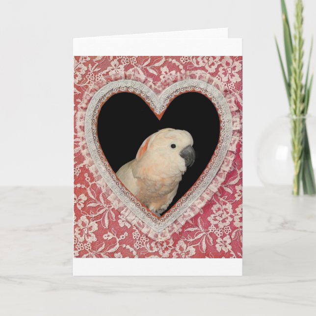 Moluccan Cockatoo Love Valentine Design Holiday Card (Front)