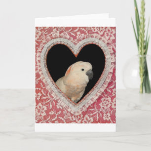 Moluccan Cockatoo Love Valentine Design Holiday Card