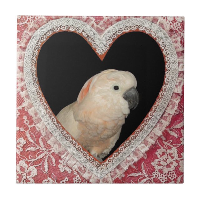 Moluccan Cockatoo Love Valentine Design Tile (Front)