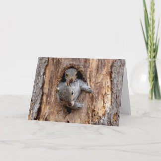 Mom and Baby Squirrel - Nature Greeting Card