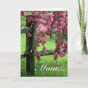Mom... Dogwood Card