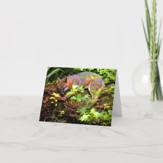 MOM FOX TAKES A NAP CARD