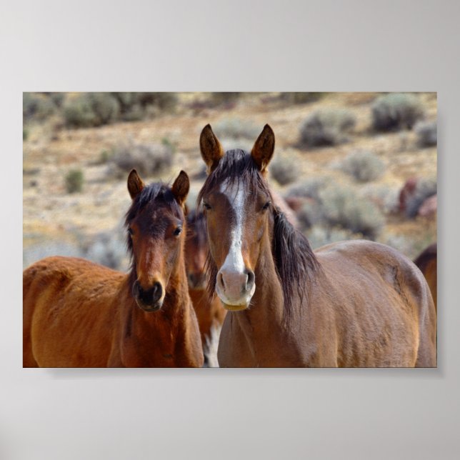 Mom with Teenage Foal Poster (Front)