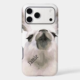 Moma Llama