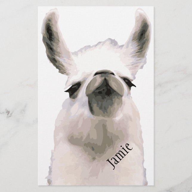 Moma Llama Stationery (Front)
