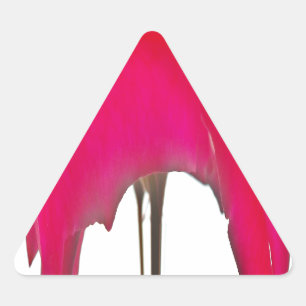 Moment Captured: A Red Rose Petal Elegance Triangle Sticker