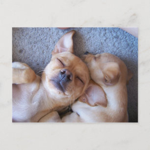 MOMENT IN TIME POSTCARD