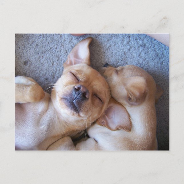 MOMENT IN TIME POSTCARD (Front)