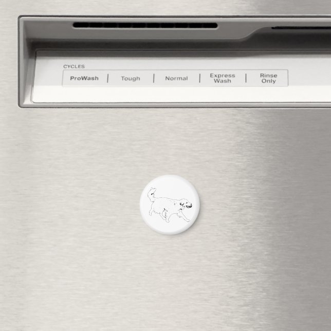Momentum Touch Magnet (In Situ (Dishwasher))