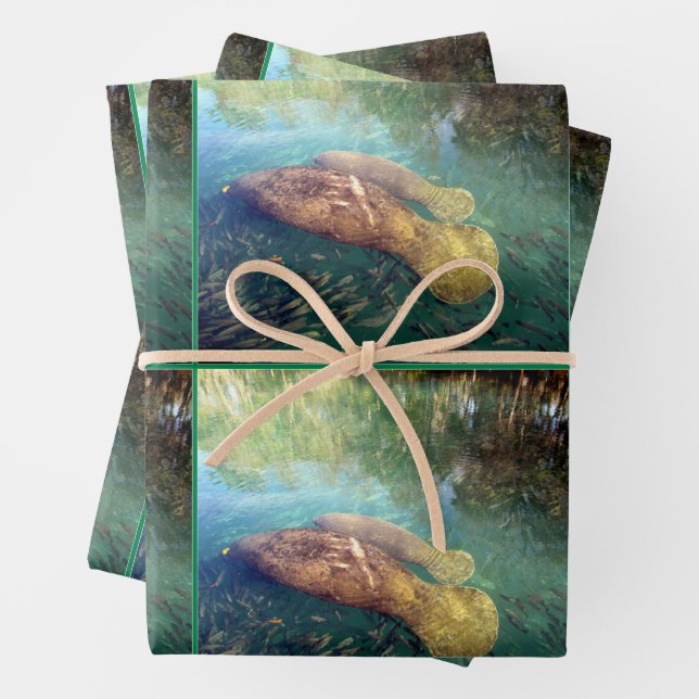 Momma and Baby Manatee - All Occasion Wrapping Paper Sheet (In situ)