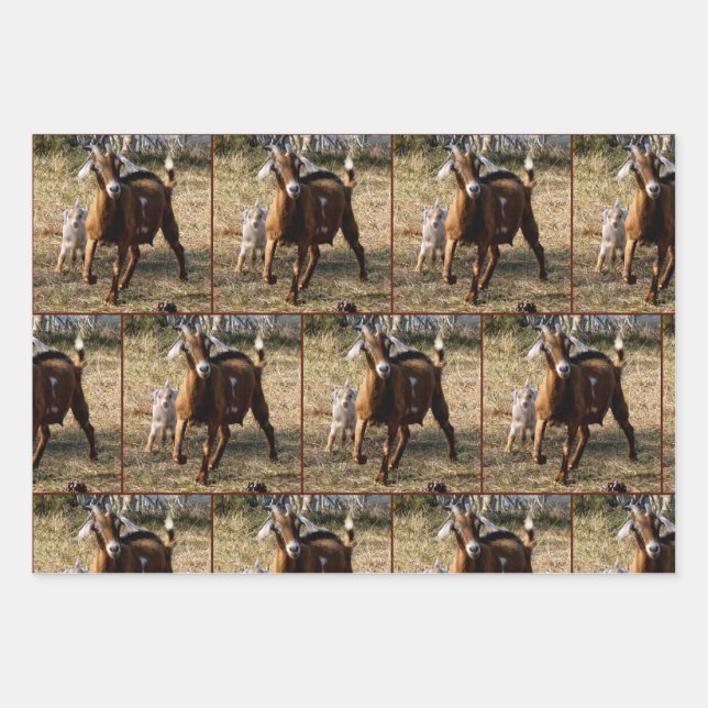 Momma and Kid Goat Wrappping Paper Sheets (Front)
