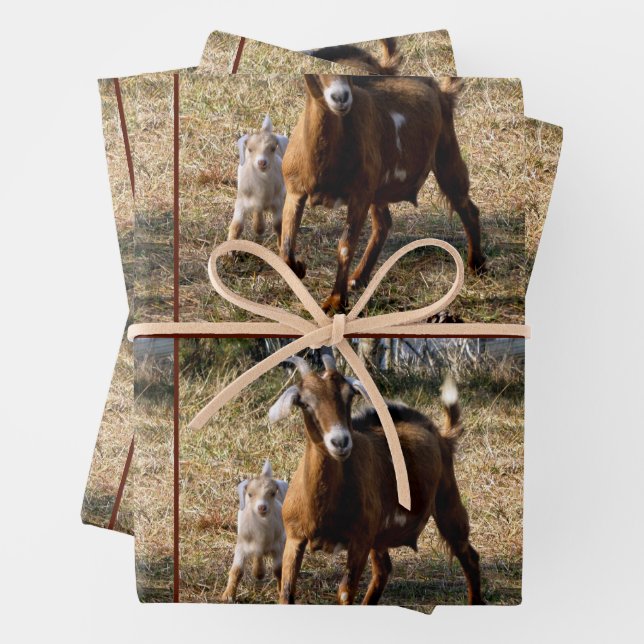Momma and Kid Goat Wrappping Paper Sheets (In situ)