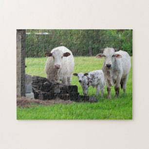 Momma Cow and Calf - Farm Life Puzzle