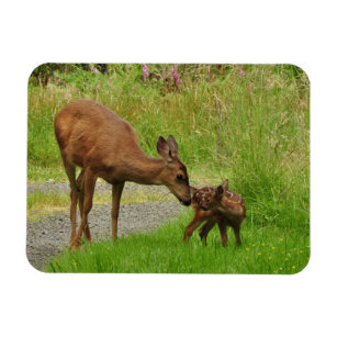 Momma Deer and her Newborn Fawn Magnet