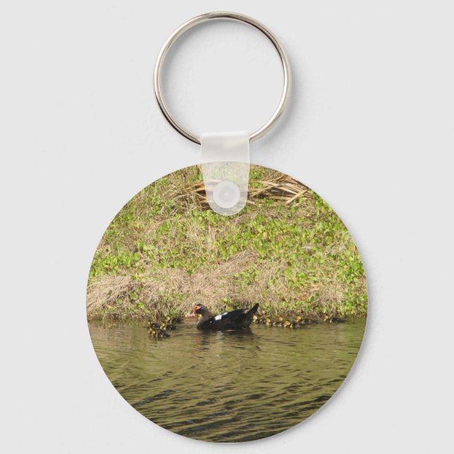 Momma Muscovy and Baby Ducks Keychain (Front)