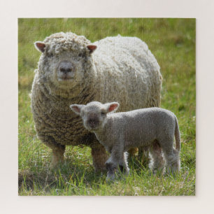 Momma's Baby Lamb  -  20x20 Jigsaw Puzzle