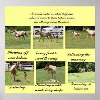 Moms and Babies Poster