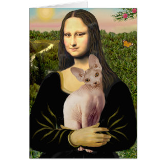 Mona Lisa - Cream Sphynx cat