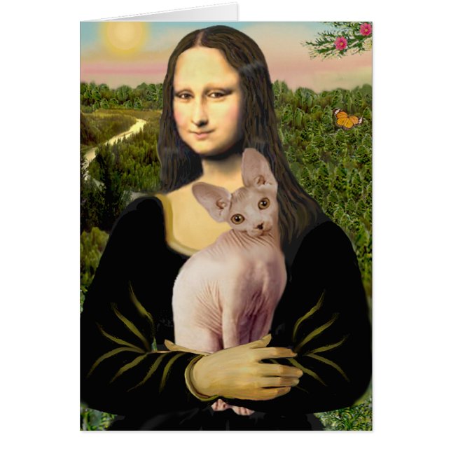 Mona Lisa - Cream Sphynx cat (Front)