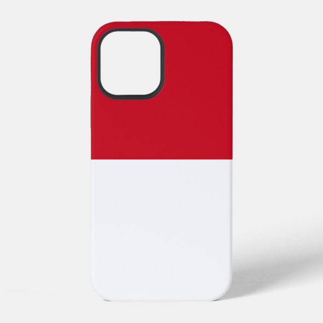 Monaco iPhone Case (Back)