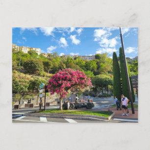 Monaco  postcard