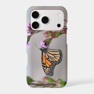 Monarch