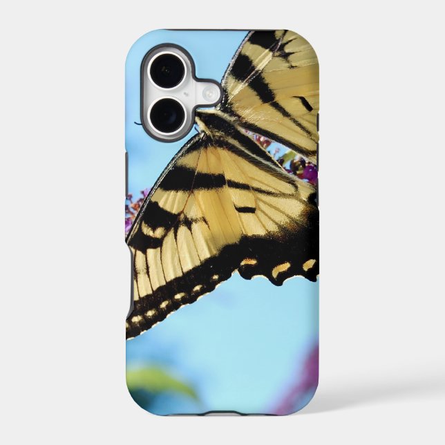 Monarch (Back)