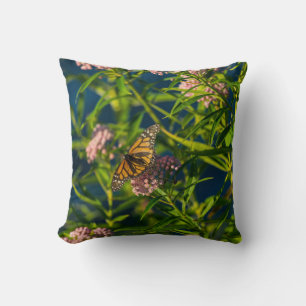 Monarch And Milkweed Cushion