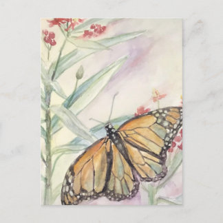 Monarch and Milkweed Postcard
