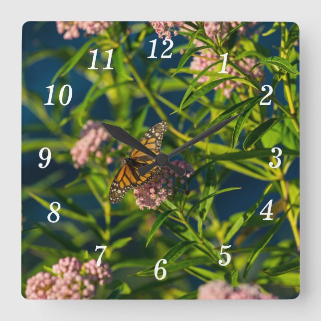 Monarch And Milkweed Wall Clock (Front)