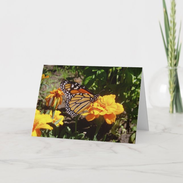"Monarch At Lunch" Easter Card (Front)