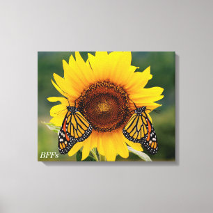 Monarch Butterfies on Sunflower Canvas Print