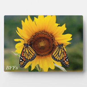 Monarch Butterfies on Sunflower Plaque